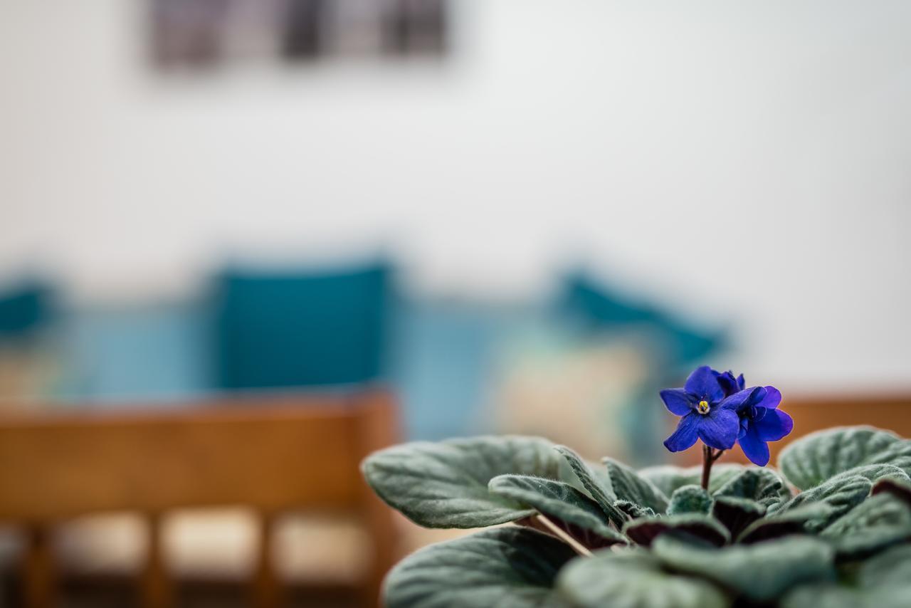 Apartamenty Bosacka Wawelofts Krakow Exterior photo